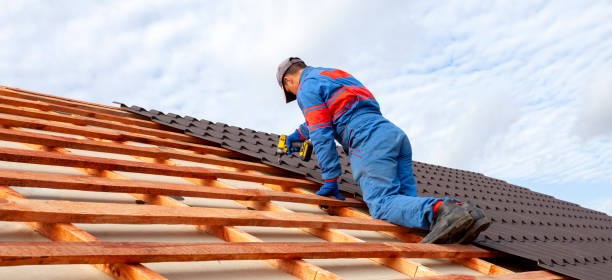 Best Roof Insulation Installation  in Woodstock, VA